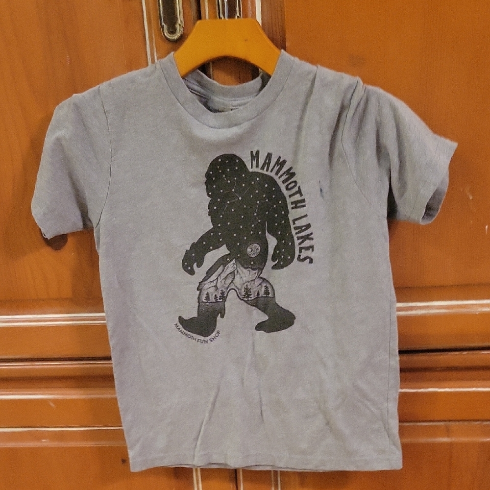 Next Level Apparel Gray Kids Tee with Mammoth Lakes Graphic